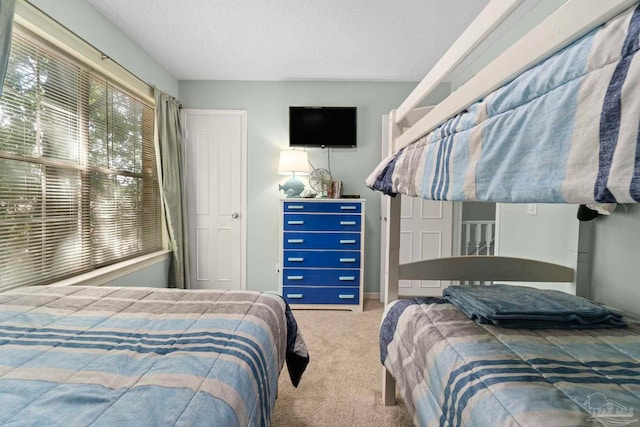 carpeted bedroom featuring baseboards and a textured ceiling