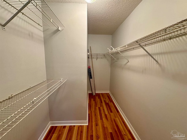 walk in closet featuring dark hardwood / wood-style flooring