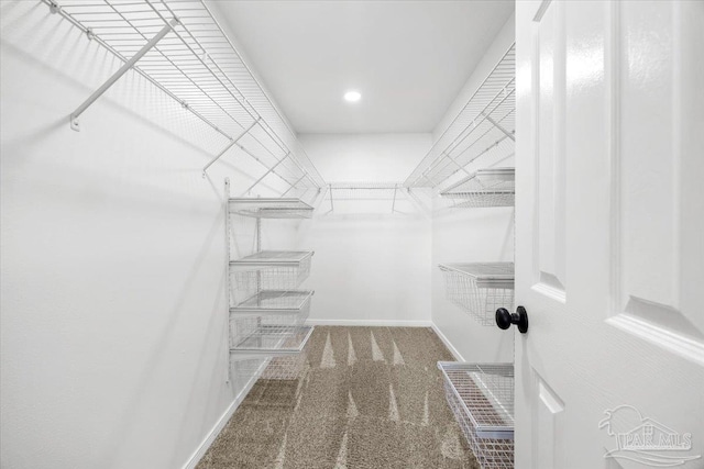 6914 Raburn Rd, Pensacola, FL 32526 - spacious closet with carpet floors