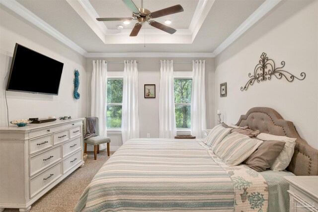 bedroom with a raised ceiling, ceiling fan, light carpet, and multiple windows