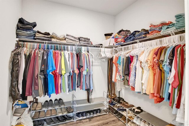 walk in closet with wood-type flooring