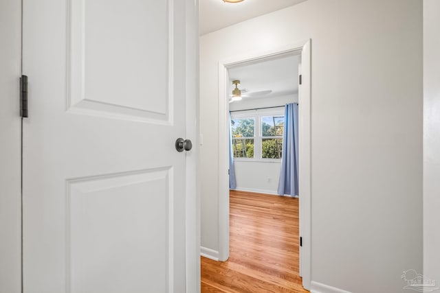 7332 Maxam Ave, Pensacola, FL 32503 - hall with light hardwood / wood-style floors