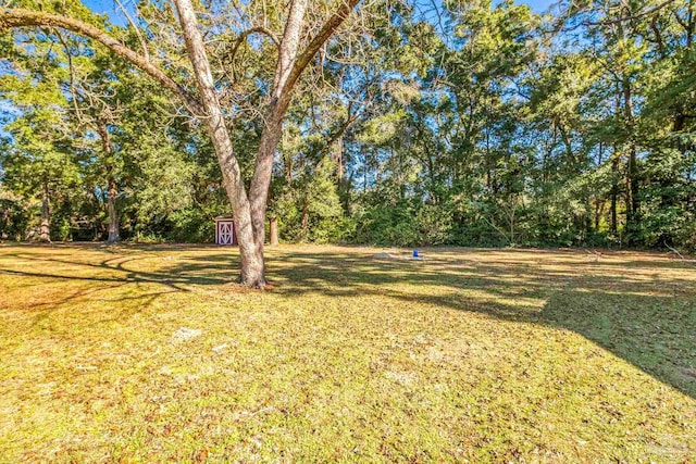 7332 Maxam Ave, Pensacola, FL 32503 - view of yard
