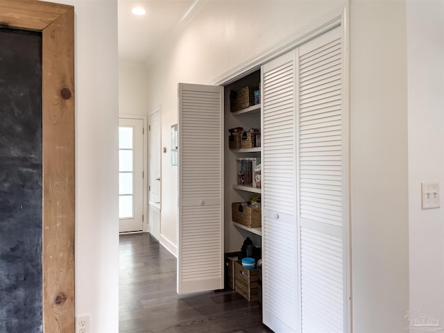 corridor featuring dark hardwood / wood-style floors