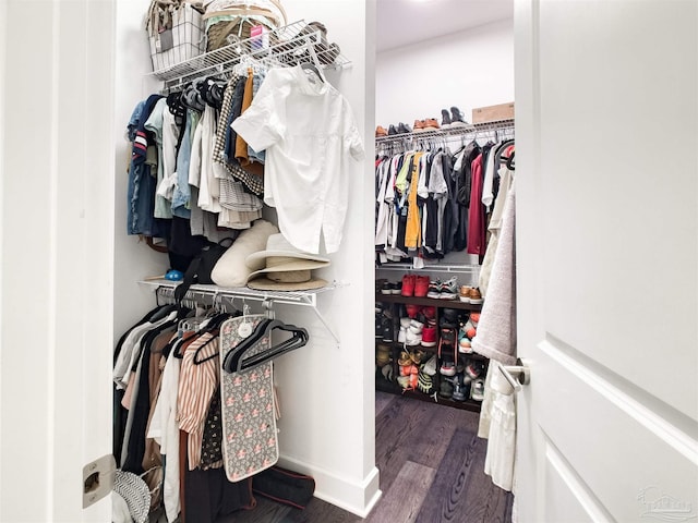 spacious closet featuring dark hardwood / wood-style flooring