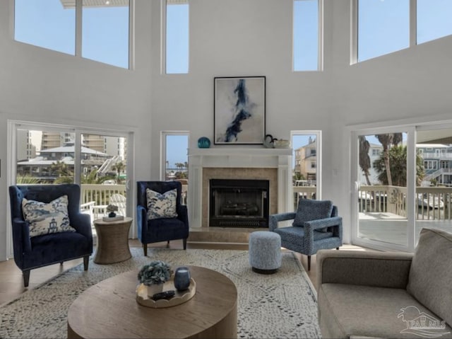 living room with a fireplace, hardwood / wood-style floors, and a wealth of natural light