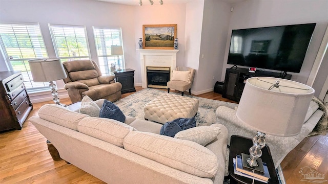 living room with light wood-type flooring