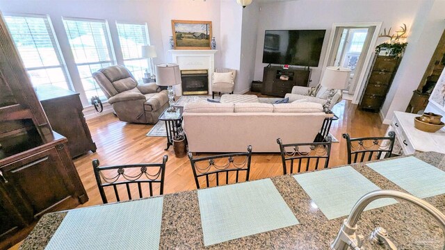 living room with light hardwood / wood-style flooring and a wealth of natural light