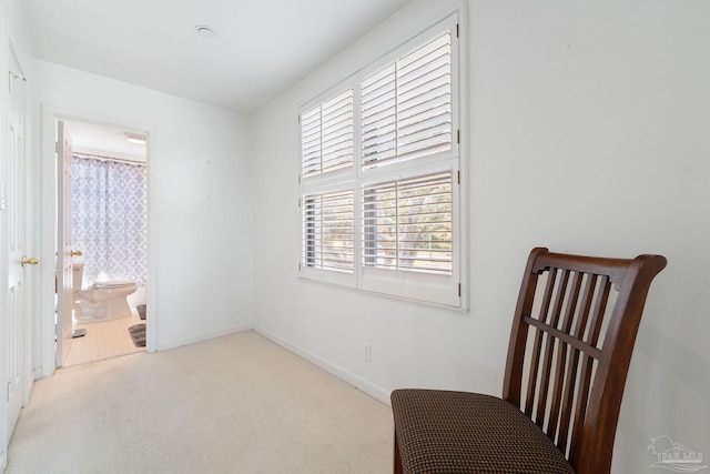 sitting room featuring carpet and baseboards