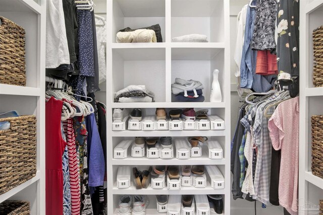 view of walk in closet