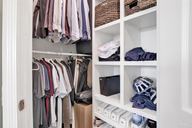 view of spacious closet