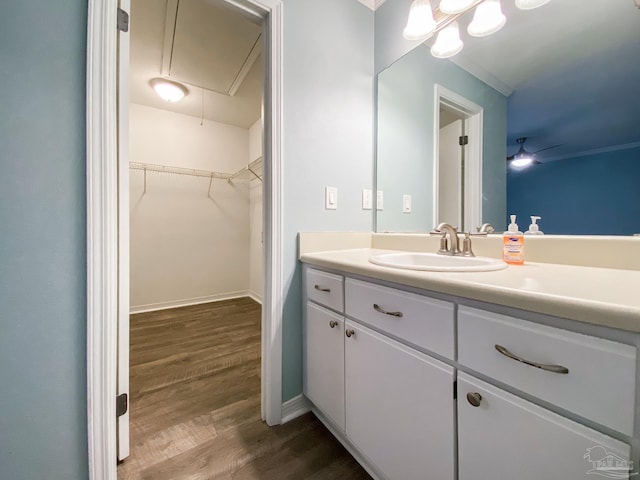 bathroom with baseboards, wood finished floors, vanity, and a walk in closet