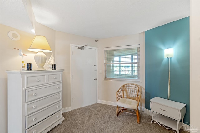 living area featuring carpet floors