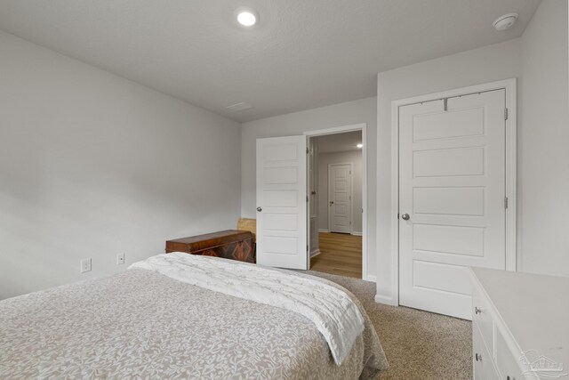 bedroom featuring carpet flooring