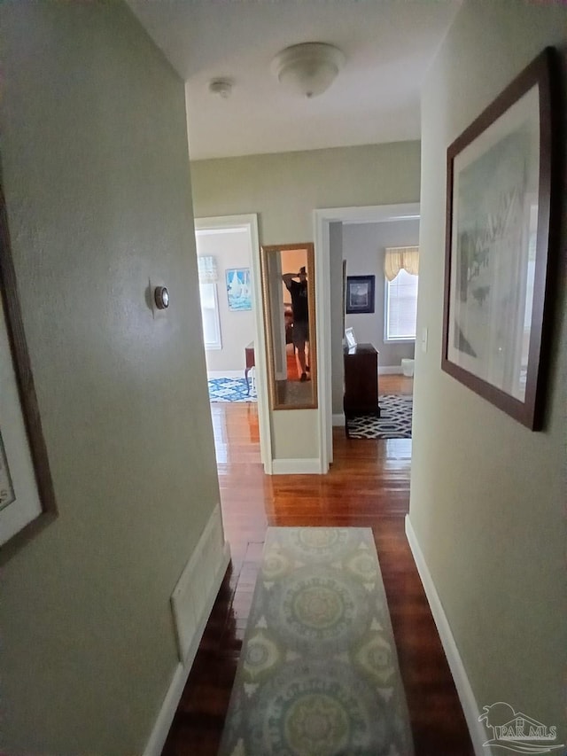 hall with dark hardwood / wood-style flooring