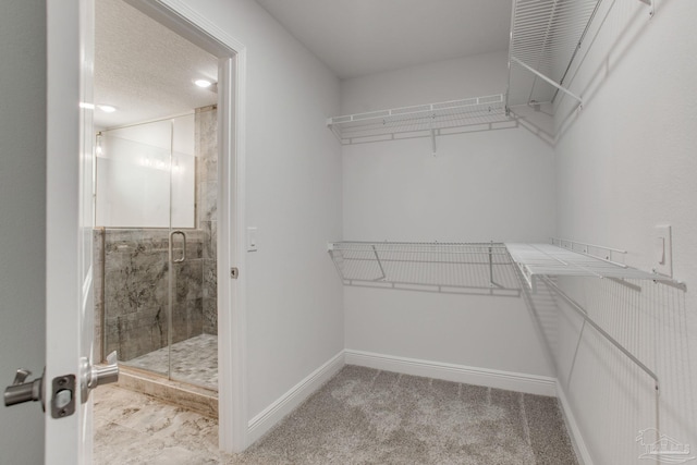 1825 Peace Ter, Cantonment, FL 32533 - spacious closet featuring carpet flooring