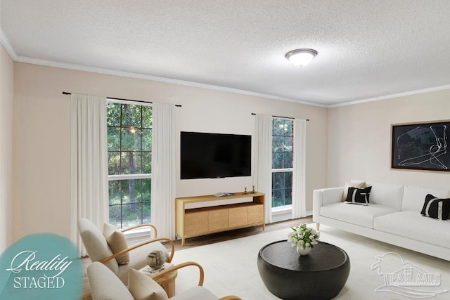 living area with a textured ceiling, crown molding, and wood finished floors