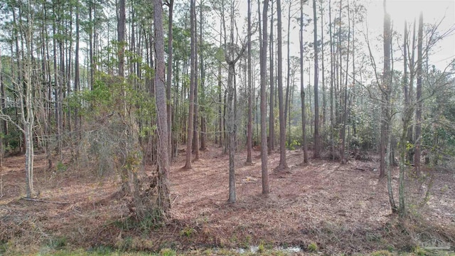 4533 Bayside Dr, Milton, FL 32583