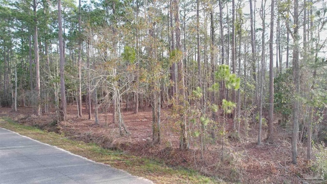 4533 Bayside Dr, Milton, FL 32583