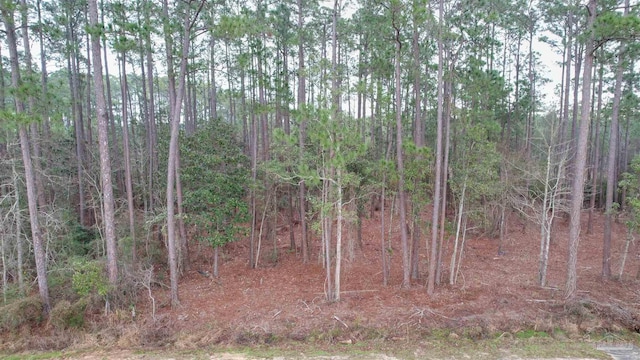 4533 Bayside Dr, Milton, FL 32583