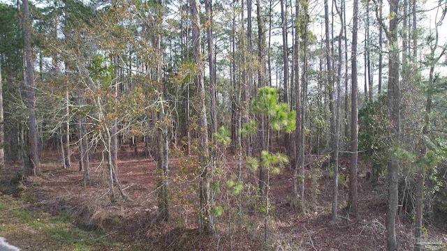 4533 Bayside Dr, Milton, FL 32583
