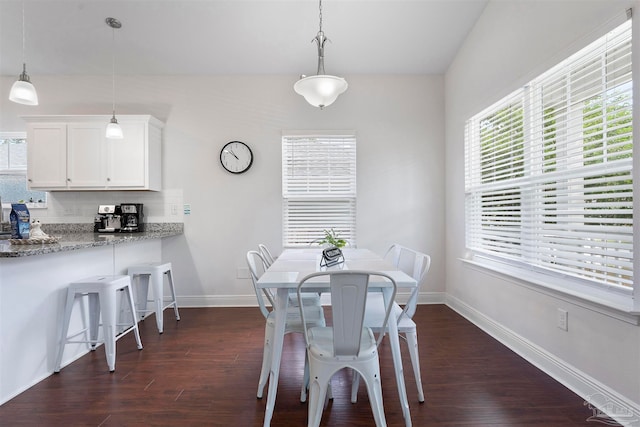 dining area featuring dark wood-type flooring