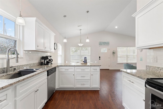 kitchen featuring a healthy amount of sunlight, sink, dark hardwood / wood-style floors, and backsplash