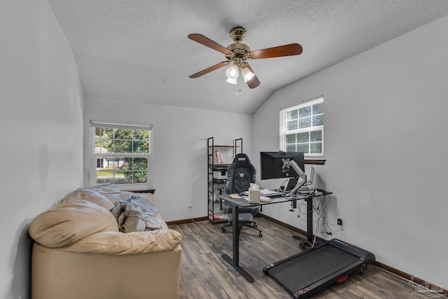 exercise room with baseboards, vaulted ceiling, wood finished floors, a textured ceiling, and a ceiling fan