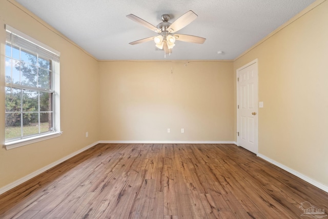 unfurnished room featuring ceiling fan and light wood-type flooring