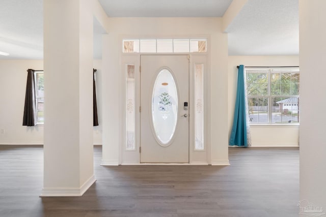 foyer with dark hardwood / wood-style floors