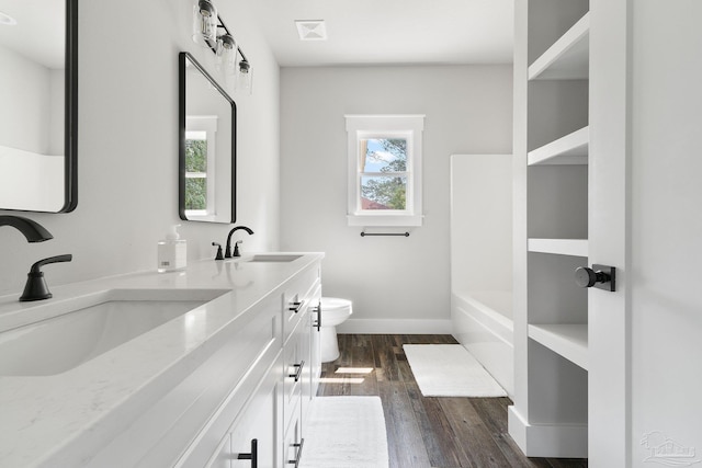 bathroom featuring toilet, vanity, and wood-type flooring