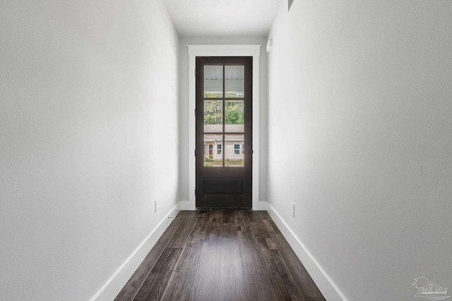 entryway featuring dark wood-type flooring