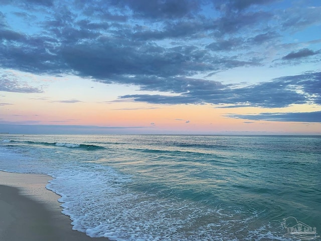 water view featuring a beach view