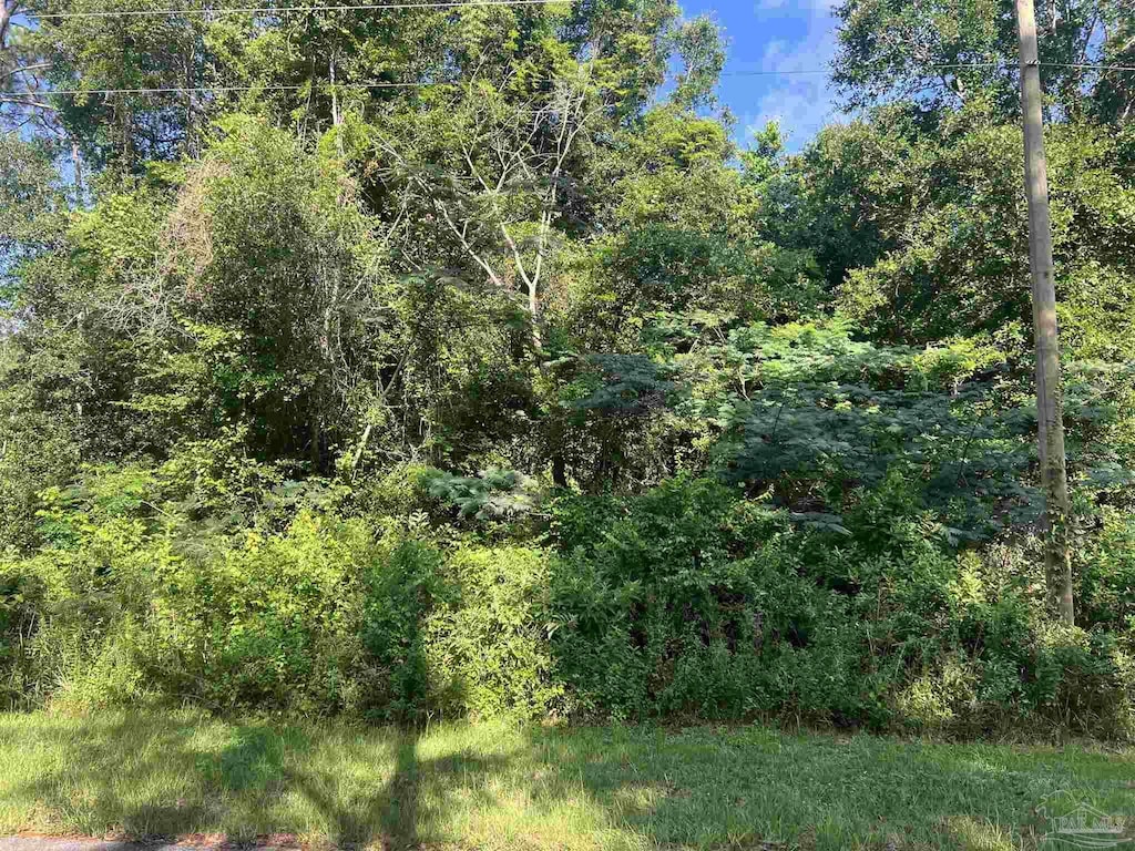 2051 Rube Smith Rd, Jay, FL 32565