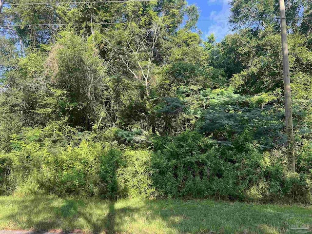 2051 Rube Smith Rd, Jay, FL 32565