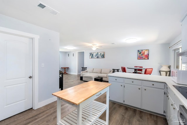 kitchen with ceiling fan, dishwasher, and dark hardwood / wood-style floors