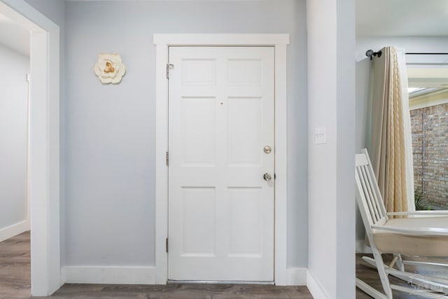 entryway with wood-type flooring