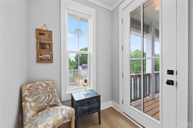 1550 W Romana St, Pensacola, FL 32502 - doorway featuring wood finished floors, baseboards, and ornamental molding