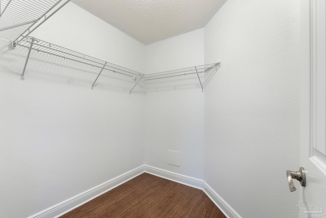 spacious closet with hardwood / wood-style flooring