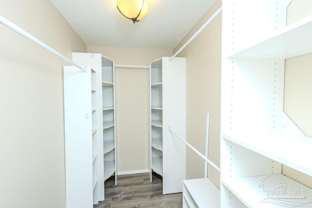 spacious closet with wood-type flooring