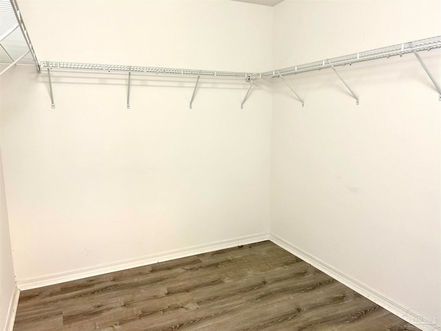 walk in closet with wood-type flooring