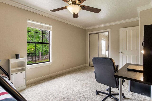 3905 Tiger Point Blvd, Gulf Breeze, FL 32563 - carpeted home office with ornamental molding, baseboards, and a ceiling fan