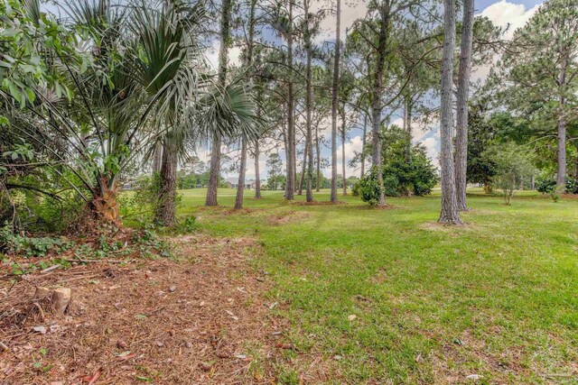 3905 Tiger Point Blvd, Gulf Breeze, FL 32563 - view of grassy yard