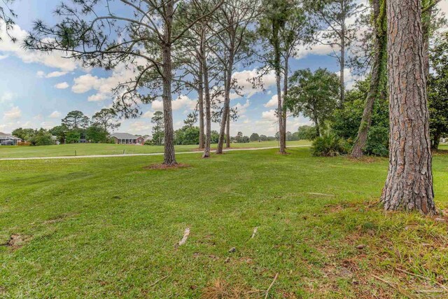 3905 Tiger Point Blvd, Gulf Breeze, FL 32563 - view of green lawn