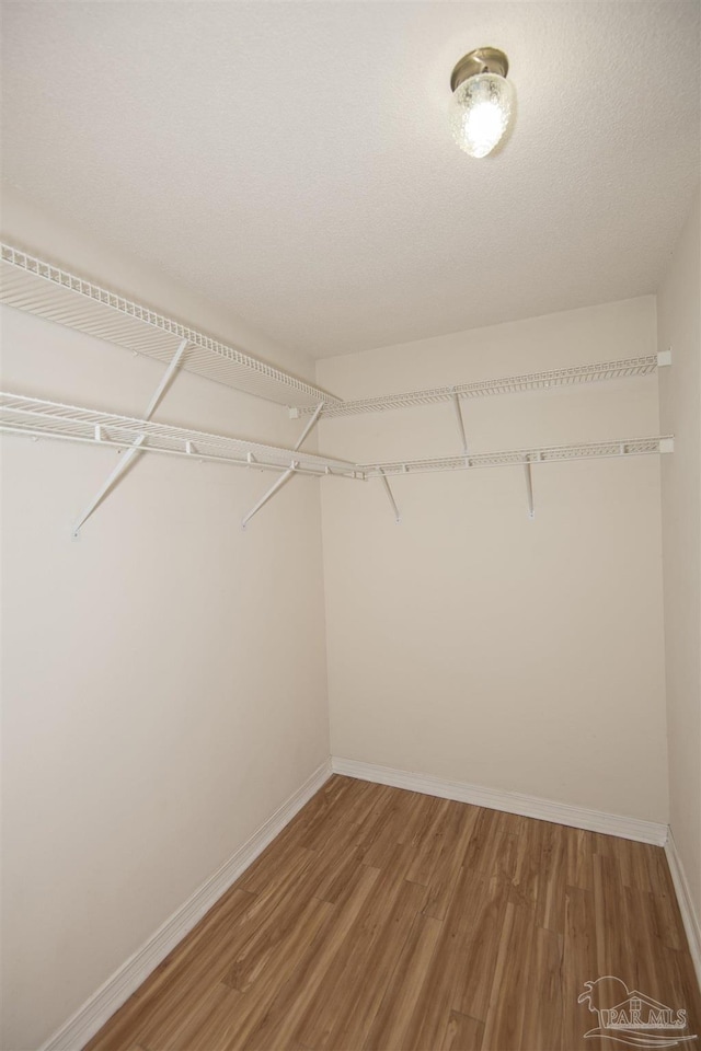 spacious closet with hardwood / wood-style floors