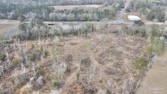 52000BLOCK US Highway 31, Perdido AL, 36562 land for sale