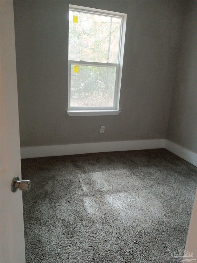 spare room featuring carpet