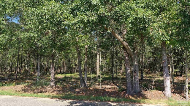 0 Harris St, Atmore AL, 36502 land for sale