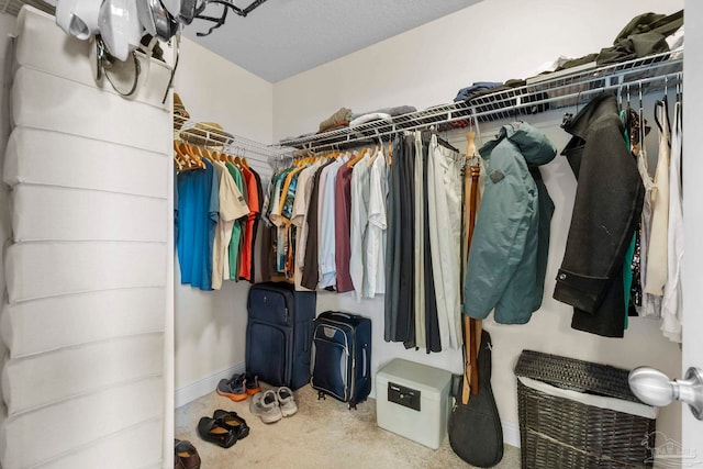 3972 Flour Mill Cir, Pace, FL 32571 - walk in closet featuring carpet