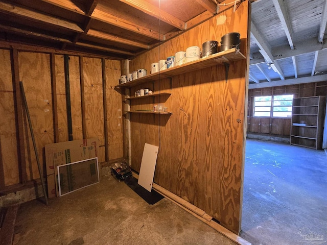 basement with wood walls